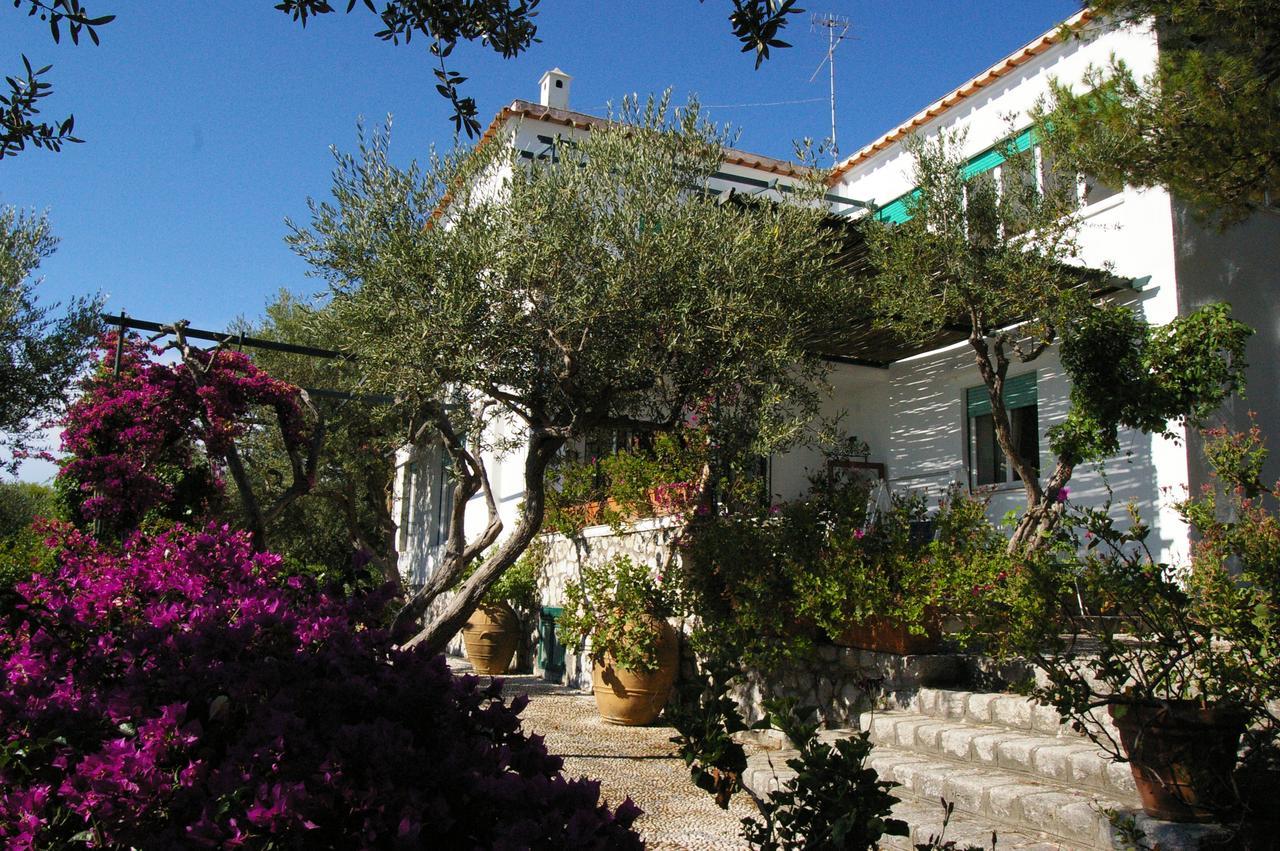 Il Rifugio B&B Capri 阿纳卡普里 外观 照片