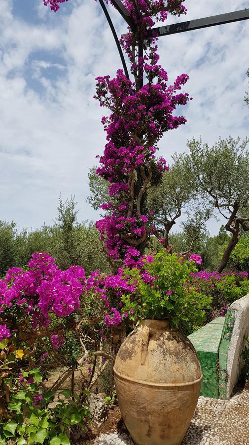 Il Rifugio B&B Capri 阿纳卡普里 外观 照片