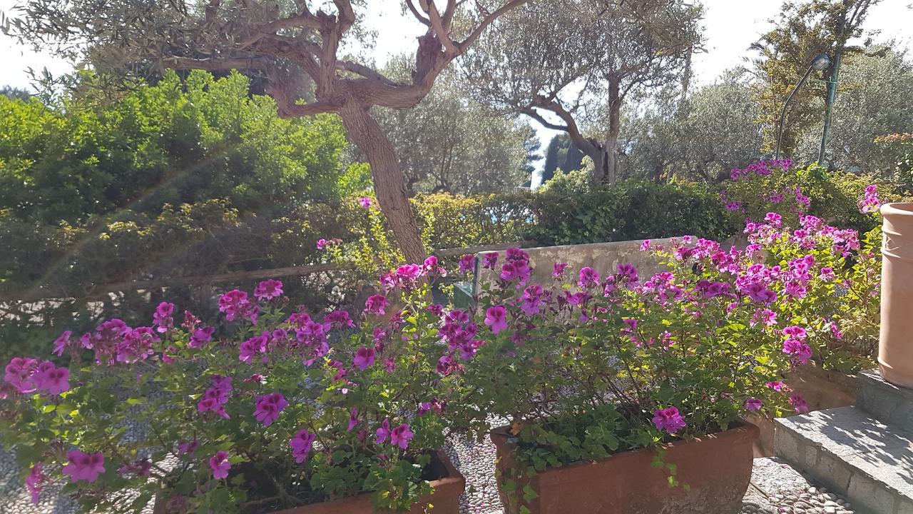 Il Rifugio B&B Capri 阿纳卡普里 外观 照片